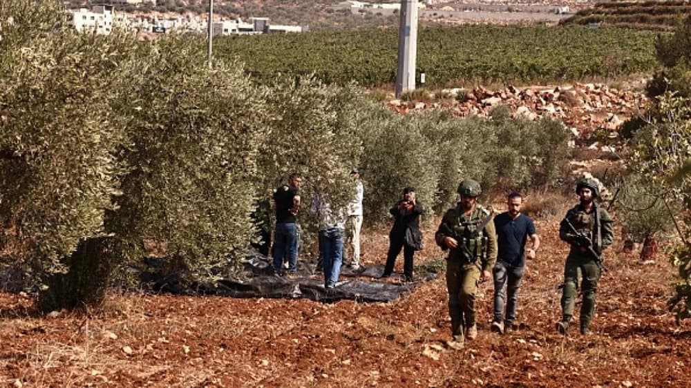 Eyes on Jerusalem covers Israel's olive harvest conflict