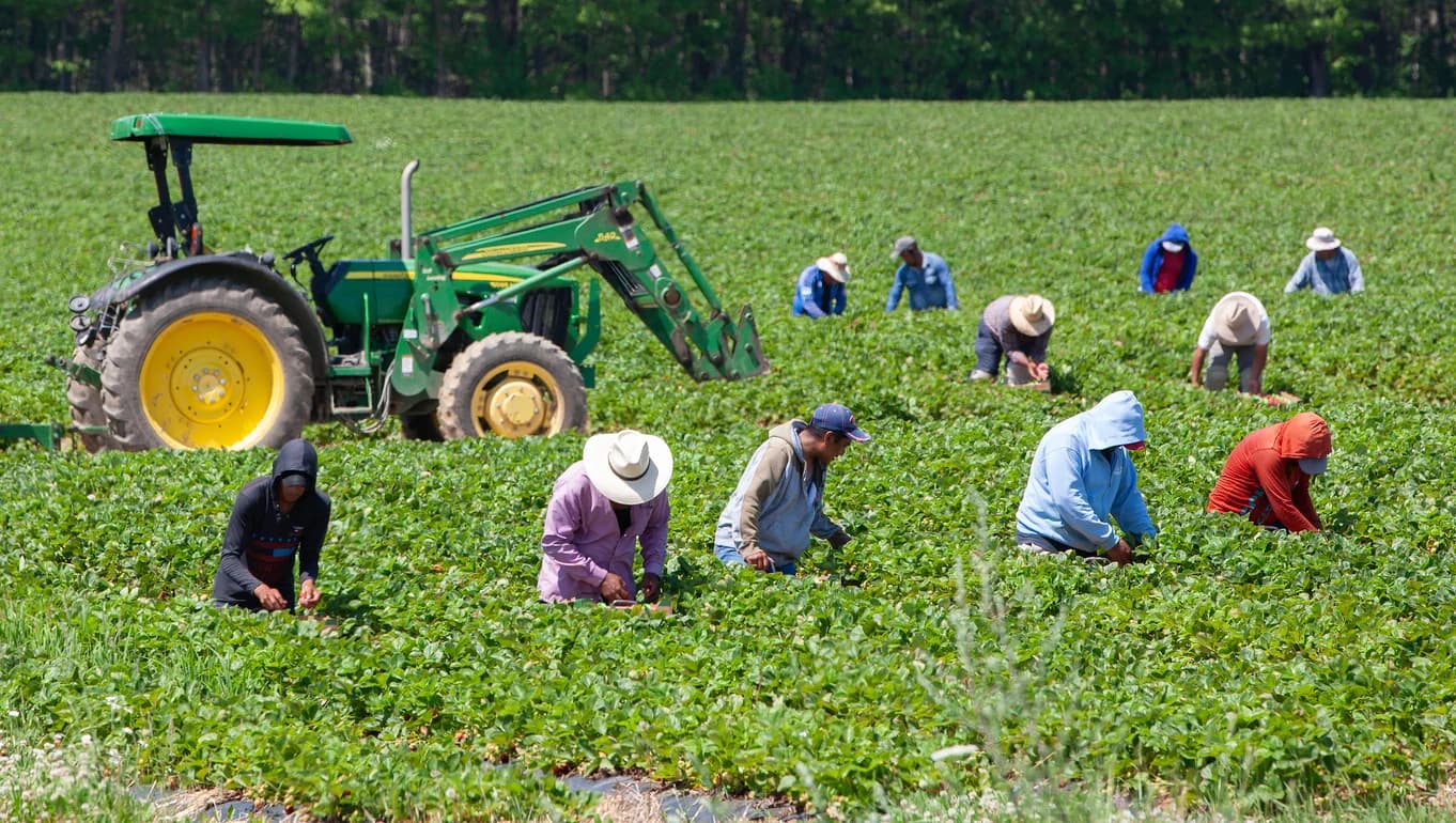 World Bank Aids 111,000 Jordanian Farmers
