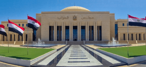 نائب: زيارة الرئيس الصيني تبرز قوة الشراكة والمستثمرات