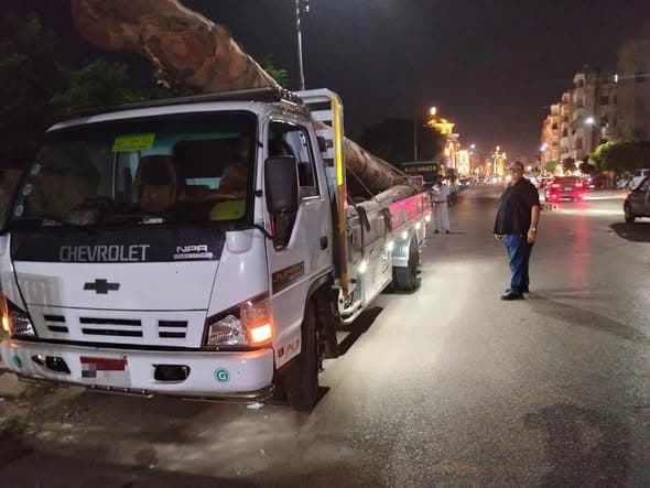 حجز سيارة محملة بأخشاب أشجار كافور قديمة بشرق المنصورة