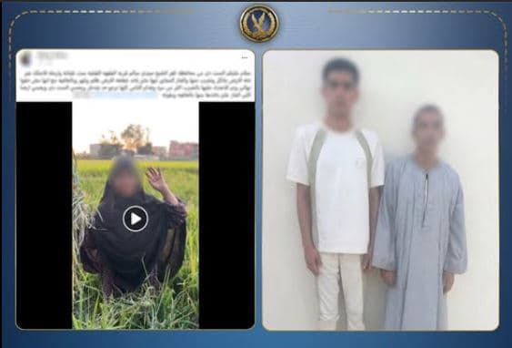 سيدة تواصل شكواها حول تعدي على أرض زراعية في كفر الشيخ