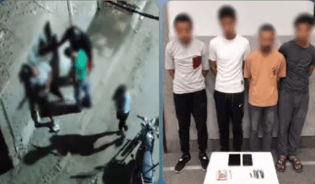 ضبط 4 عاطلين في الإسكندرية بحوزتهم حشيش وسلاح