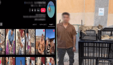 ضبط مبدع محتوى بكفر الشيخ يربّي قطا وحيوانات سامة