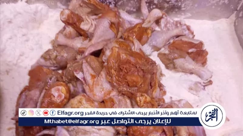 حملات رقابية في المنيا وسمالوط تضبط مخالفات