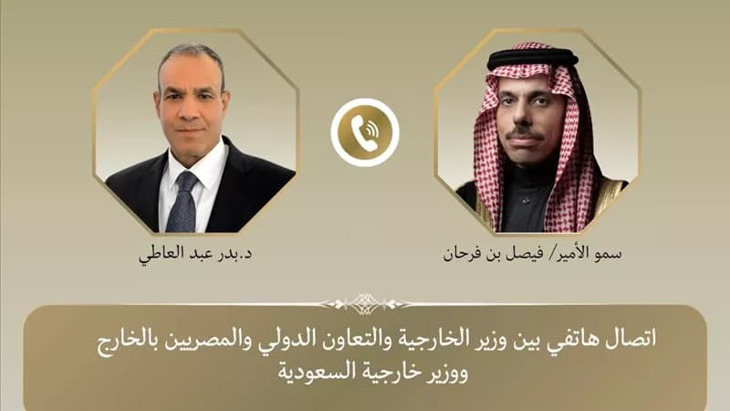وزير الخارجية يطمئن السعودية على دعم مصر