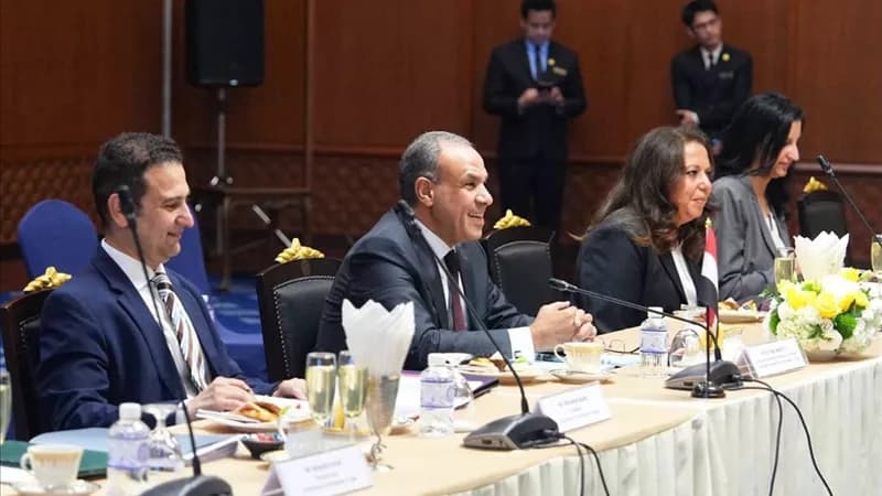 مصر وتايلاند تتعاونان في اللجنة المشتركة