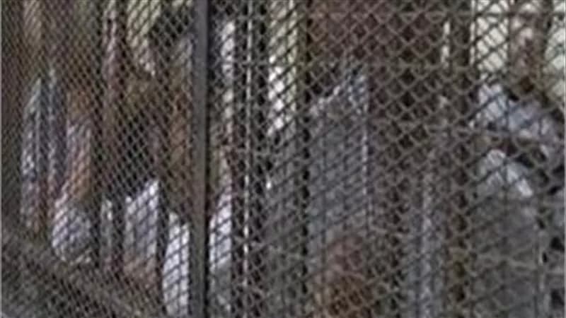 مواصلة محاكمة 9 متهمين في خلية داعش بمدينة نصر