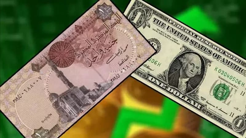 انخفاض الجنيه المصري واستمرار السوق الموازية