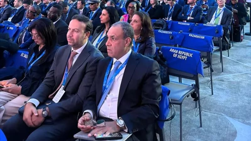 وزير الخارجية يشارك في جلسة المحافظين