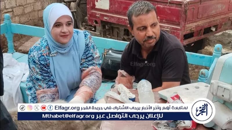 أسيوط تسلم 127 رأس ماشية ل60 أسرة