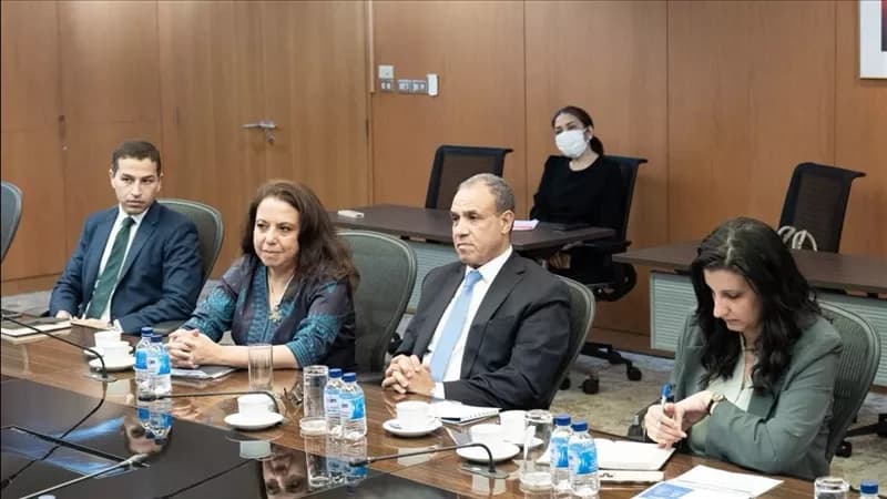 وزير الخارجية يناقش مع رئيس بنك التصدير التايلاندي فرص الاستثمار في إفريقيا