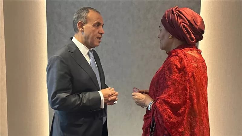 وزير الخارجية يلتقي بمساعد الأمين العام