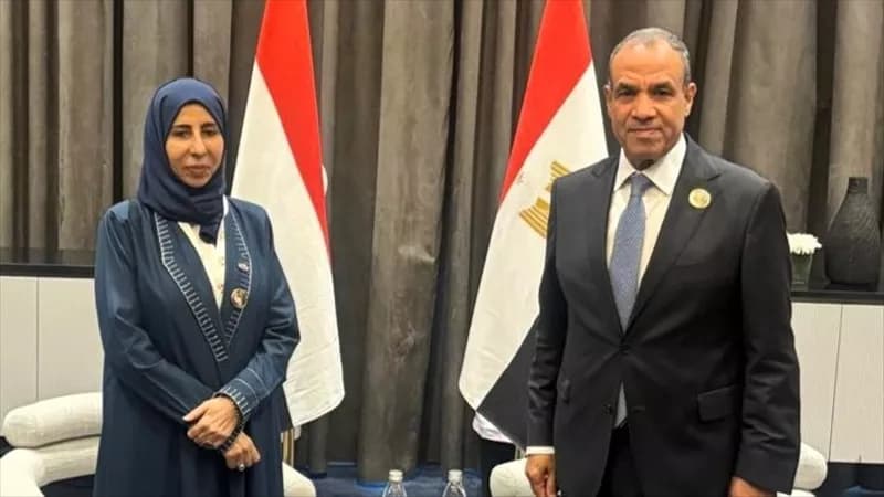 وزير الخارجية يناقش دعم استقرار اليمن