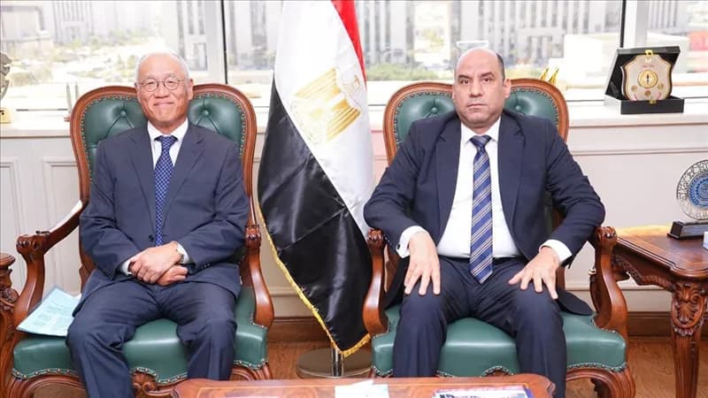 وزير العمل يلتقي ممثلي الشركات اليابانية في مصر