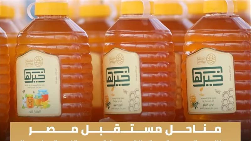 مناحل مصر المستقبلية وتطوير إنتاج العسل