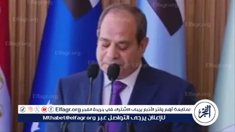 السيسي يوافق على اكتتاب مصر في هيئة التنمية الدولية