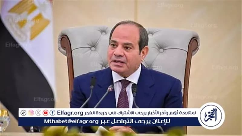 مصر والمجر تعززان الشراكة