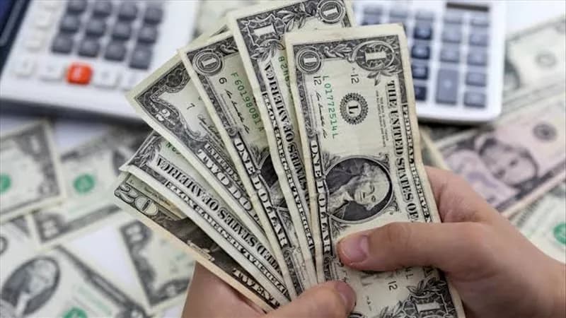 سعر الدولار اليوم الجمعة 23 أكتوبر 2026