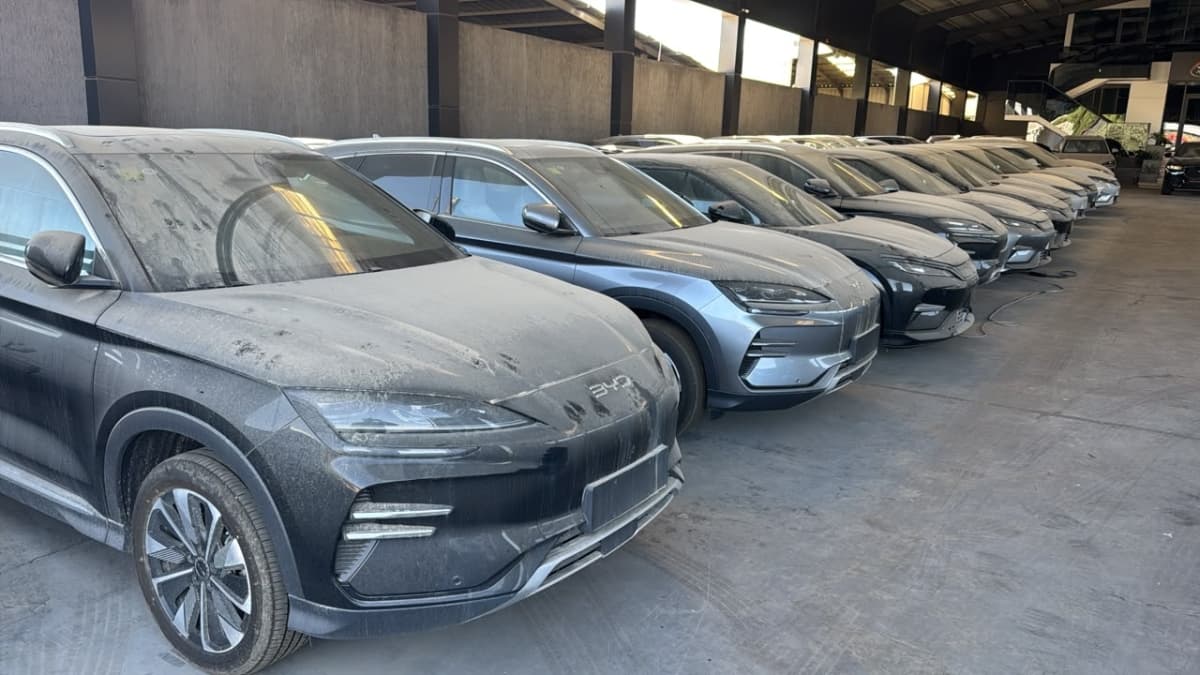 Over a thousand electric cars face halt in free zone