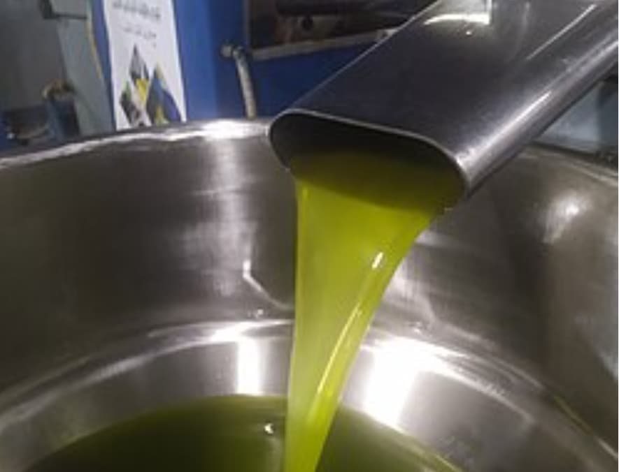Al-Najdaoui discloses olive oil barrel cost