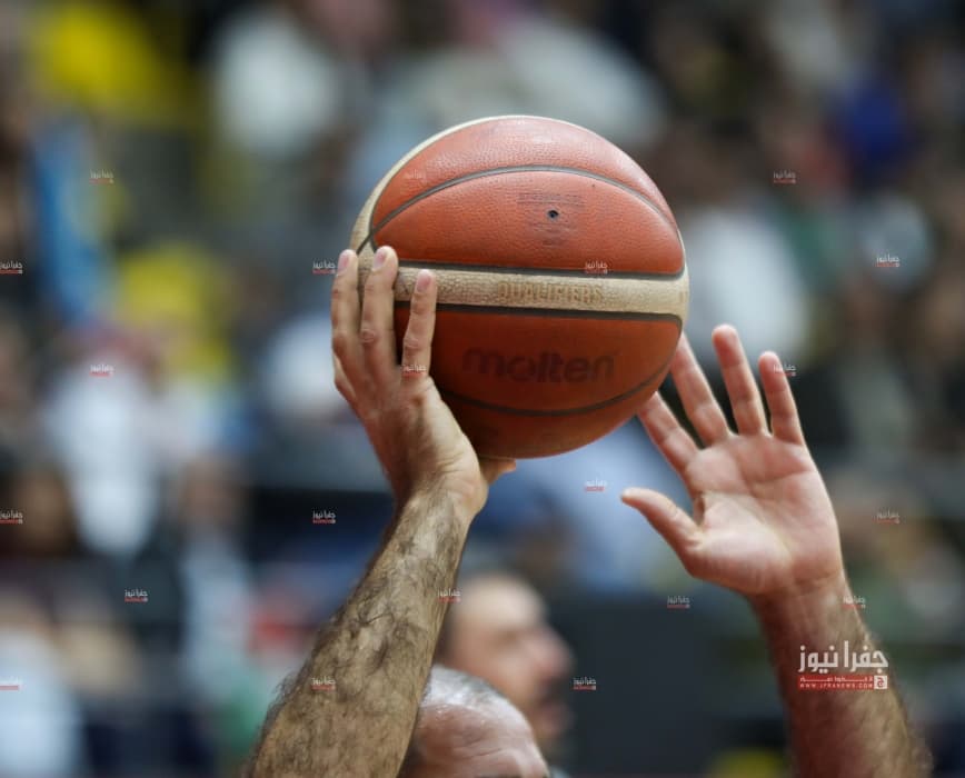 Basketball Federation Committees Formed