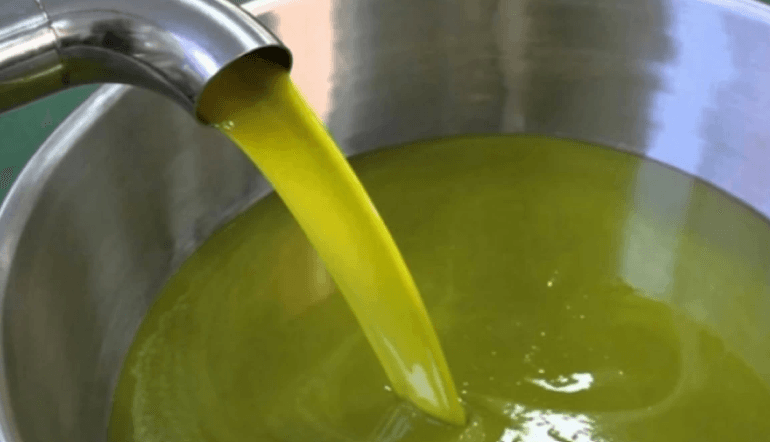 Olive Oil Industry Wage Rise