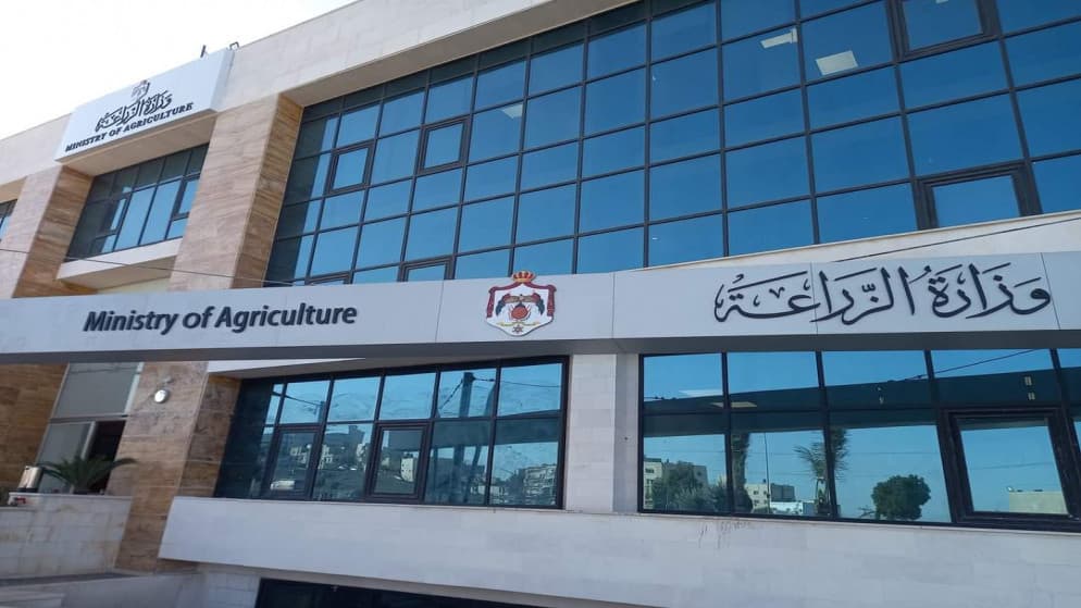 Agriculture explains 14,000 dinar loss on olive sales