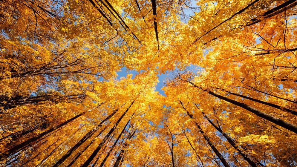 Jordan observes autumnal equinox