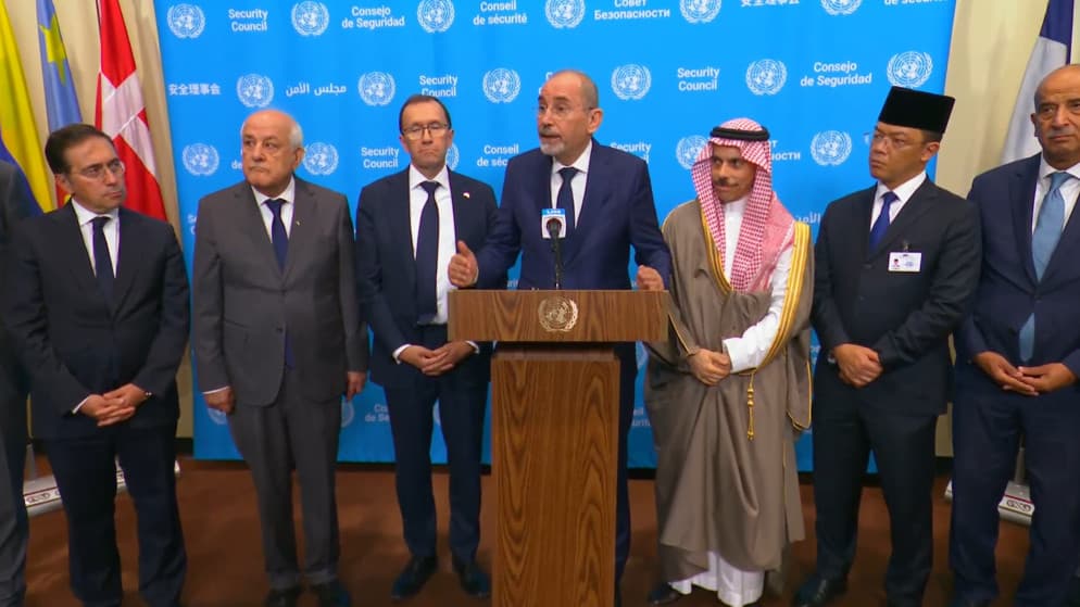Al-Safadi on Israeli signals on Palestinian issue