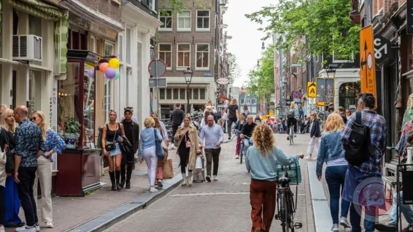 Netherlands tightens settlement product ban
