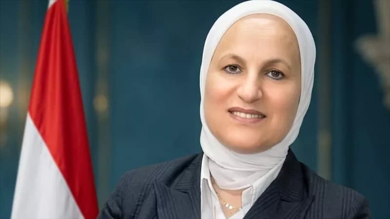 تعليم القاهرة يدعم تصحيح التقييمات وتنفيذ الأنشطة