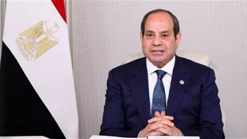 السيسي: لجنة من العلماء وضعت خطة الدولة بعد 2013
