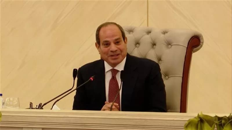 السيسي يركز على تعزيز التعاون مع القطاع الخاص في تطوير الطاقة