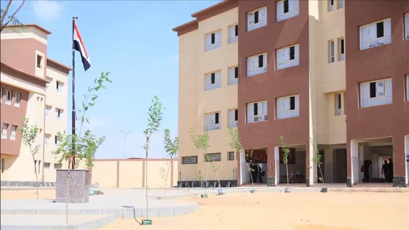 القبض على زوج ومدرسين بعد اعتداء داخل مدرسة بالاسماعيلية