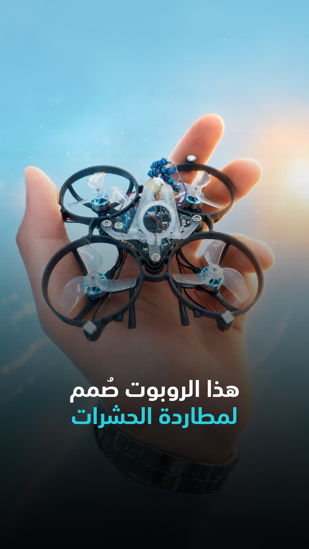 Mosquitoes as Drone Targets in Future