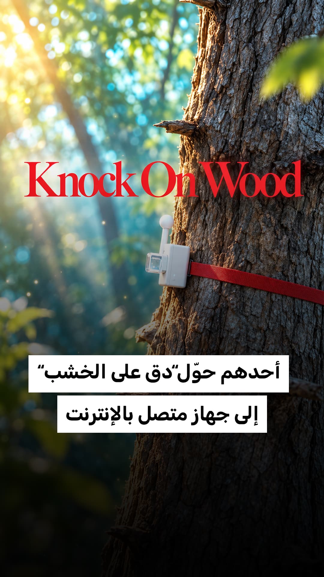 شخص يحول قول دق على الخشب إلى جهاز ذكي