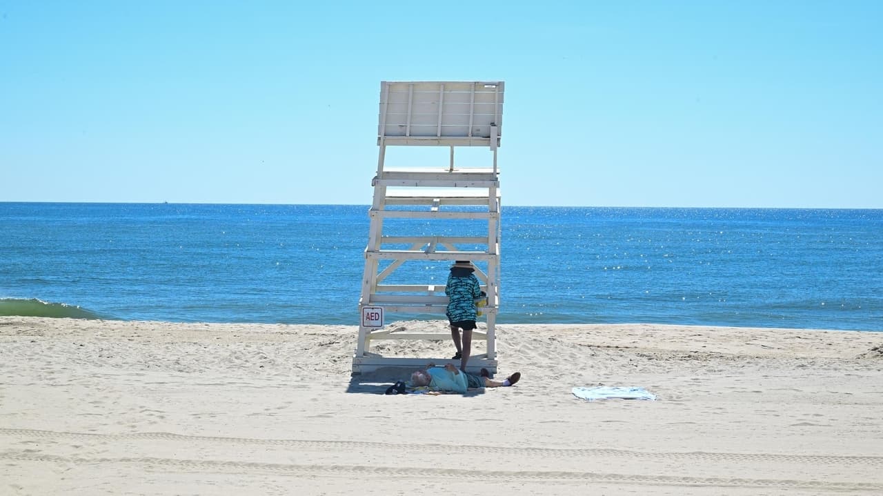 Tumbleweed Tuesday observed in Hamptons beaches