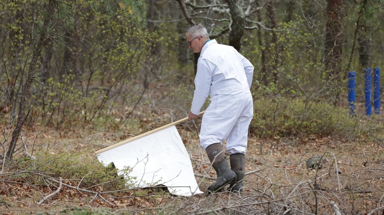 At-home Lyme Test Advances