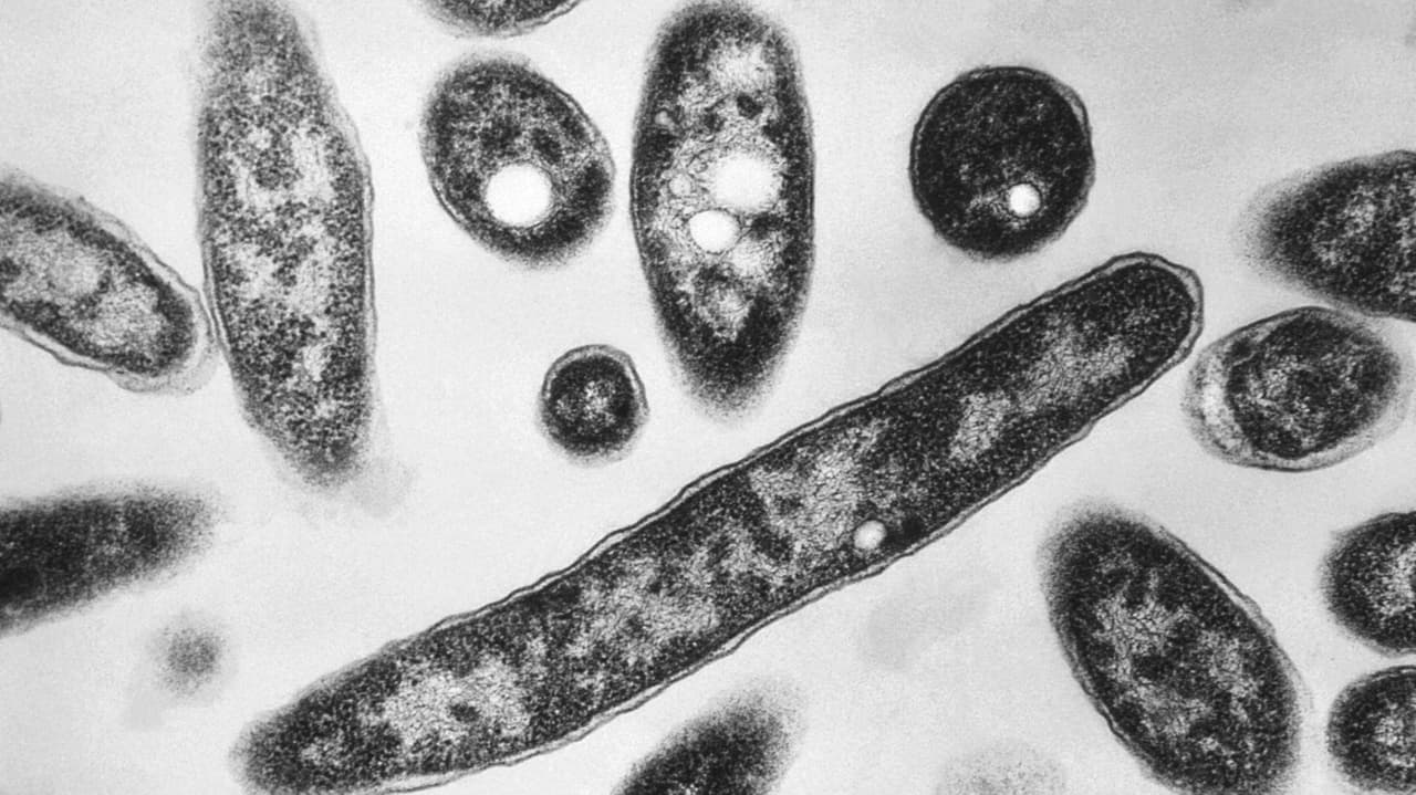 Suffolk Cooling Tower Tests Positive for Legionella