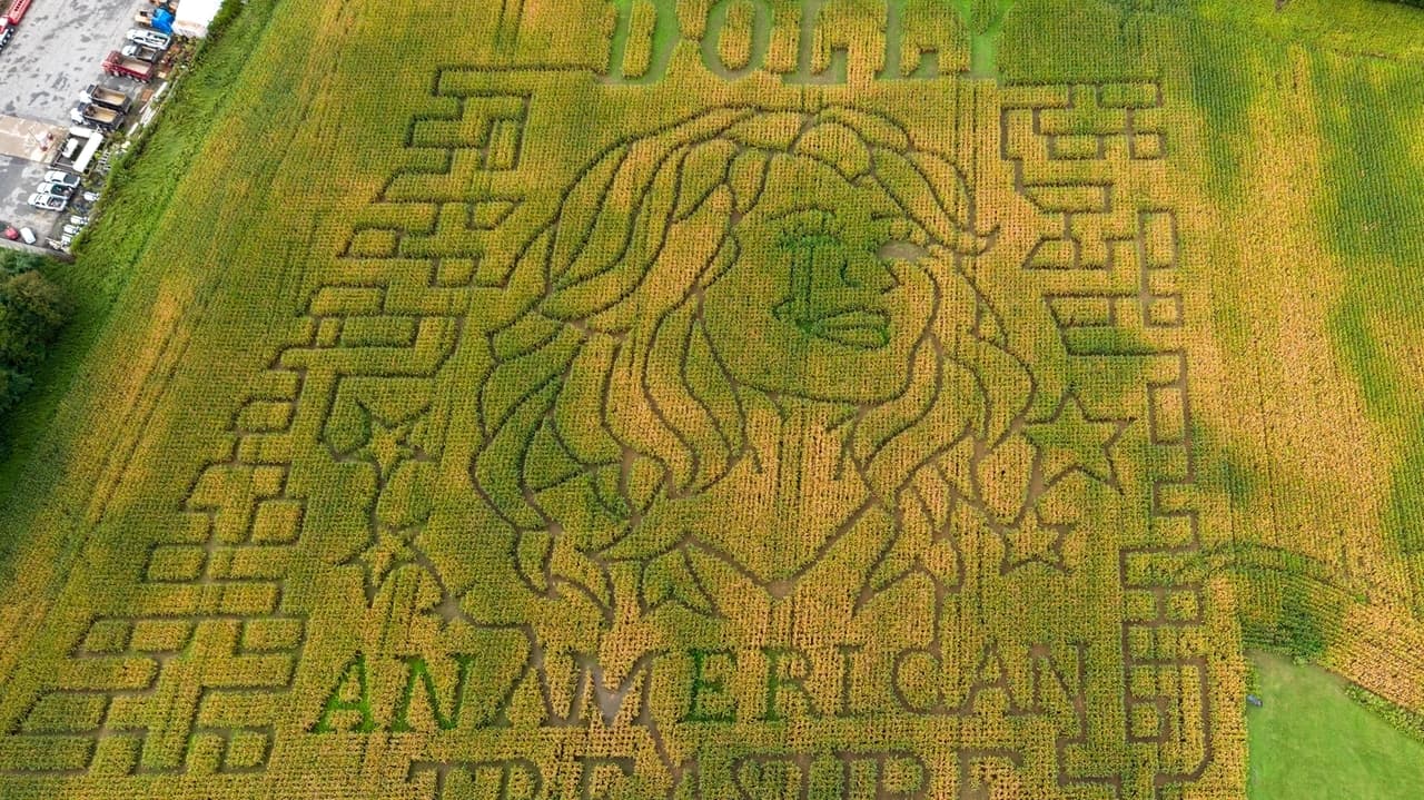 Dolly Parton-themed corn mazes appear nationwide