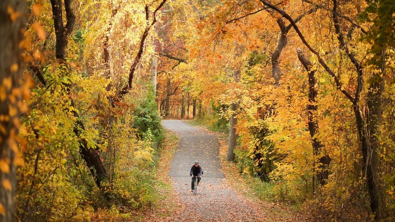 Long Island Fall Foliage Preview