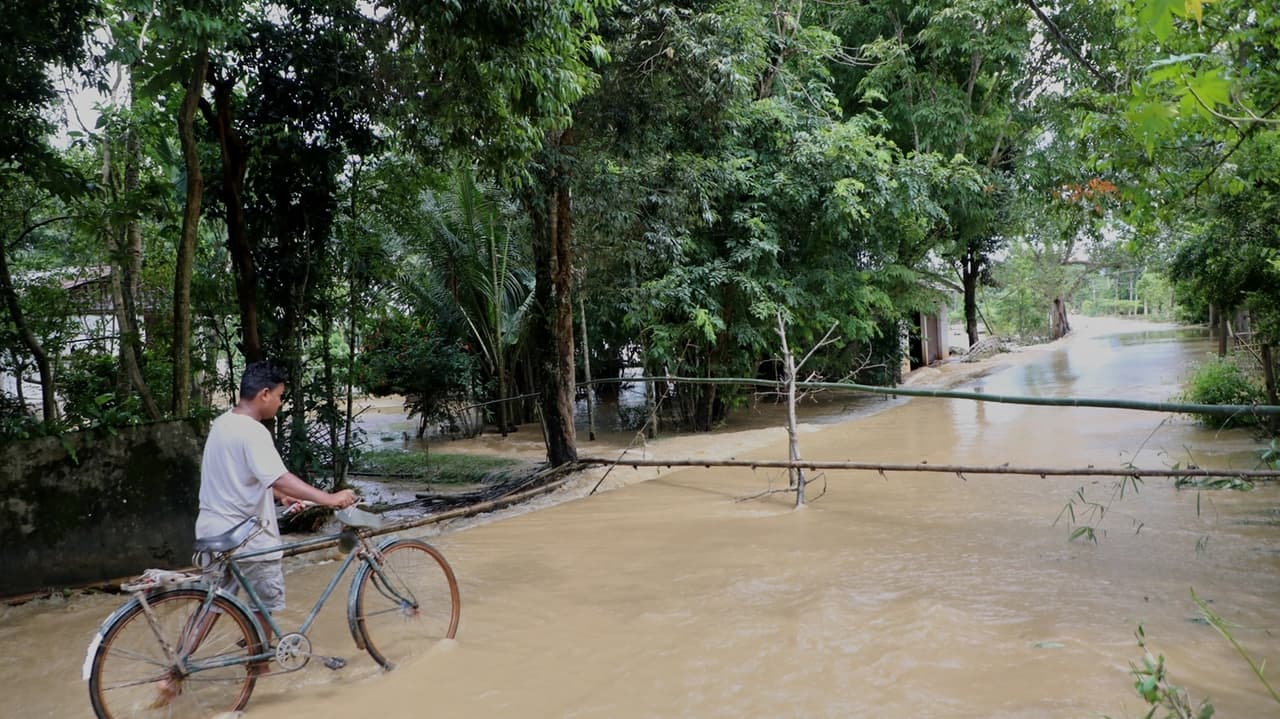 India floods kill 50, displace 700,000