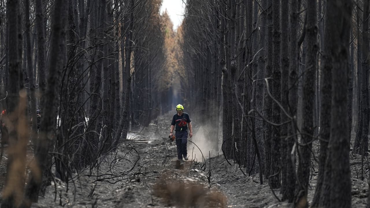 French Wildfire Contained Near Bordeaux