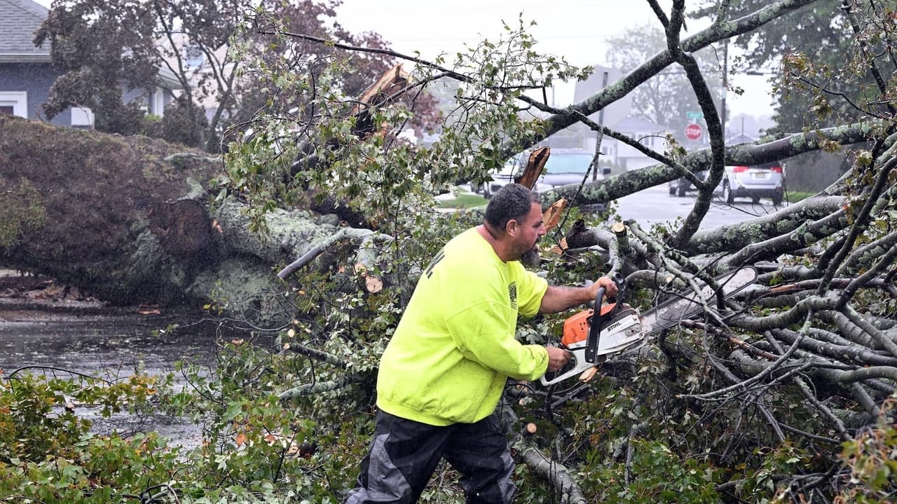 Long Island Nor'easter causes trees outages