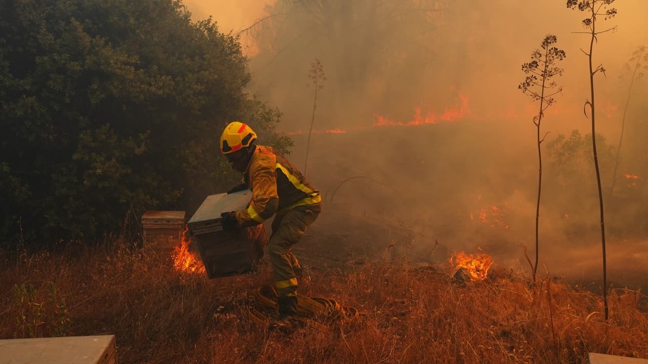 UN and scientists warn of intense El Nino worsening global conditions