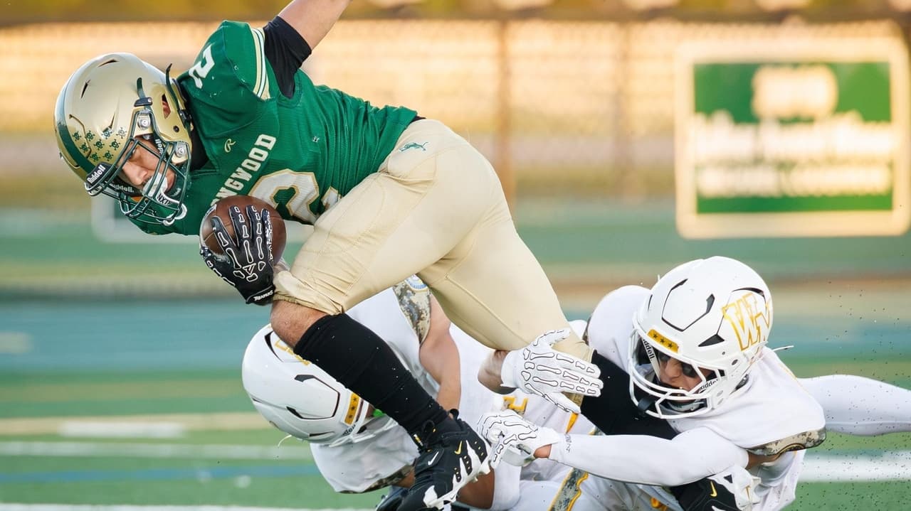 LI high school football down 30%