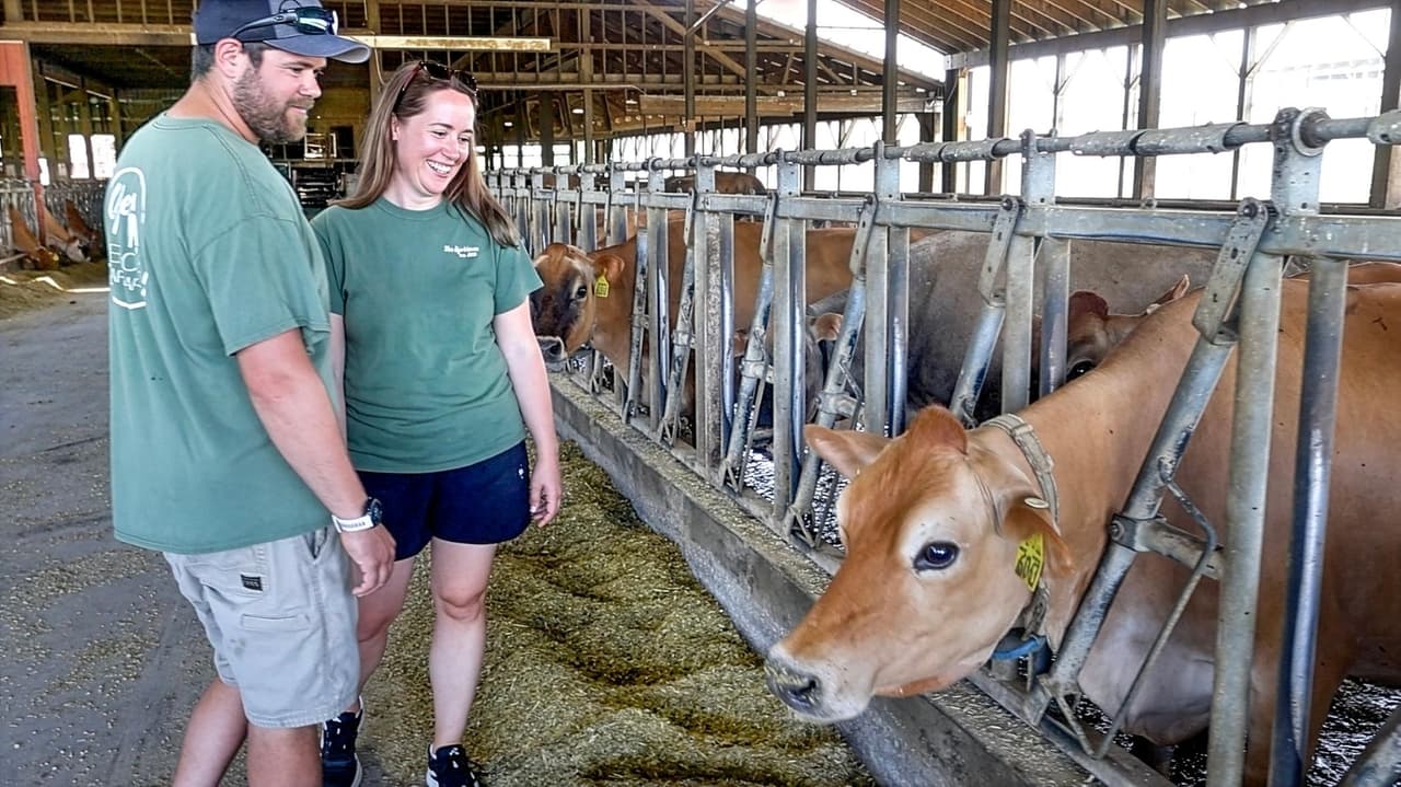 As Solar Panels Spread Across Upstate New York, Some Residents Mourn Lost Farmland