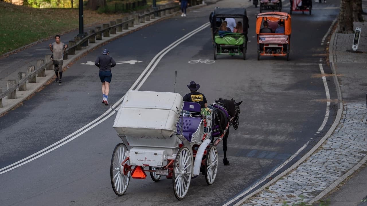 NYC horse carriages may be banned after council vote