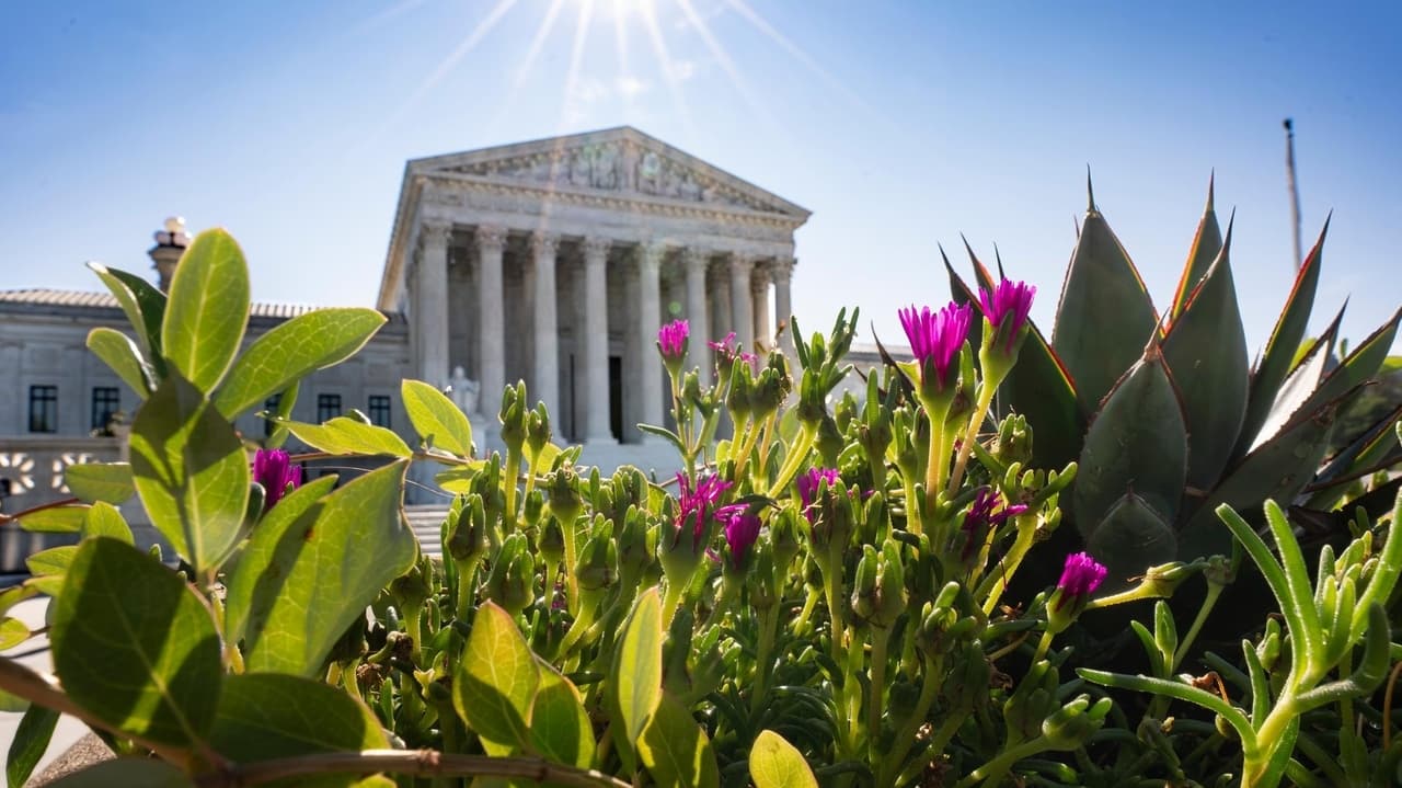 Trump admin seeks SC approval for fast deportations