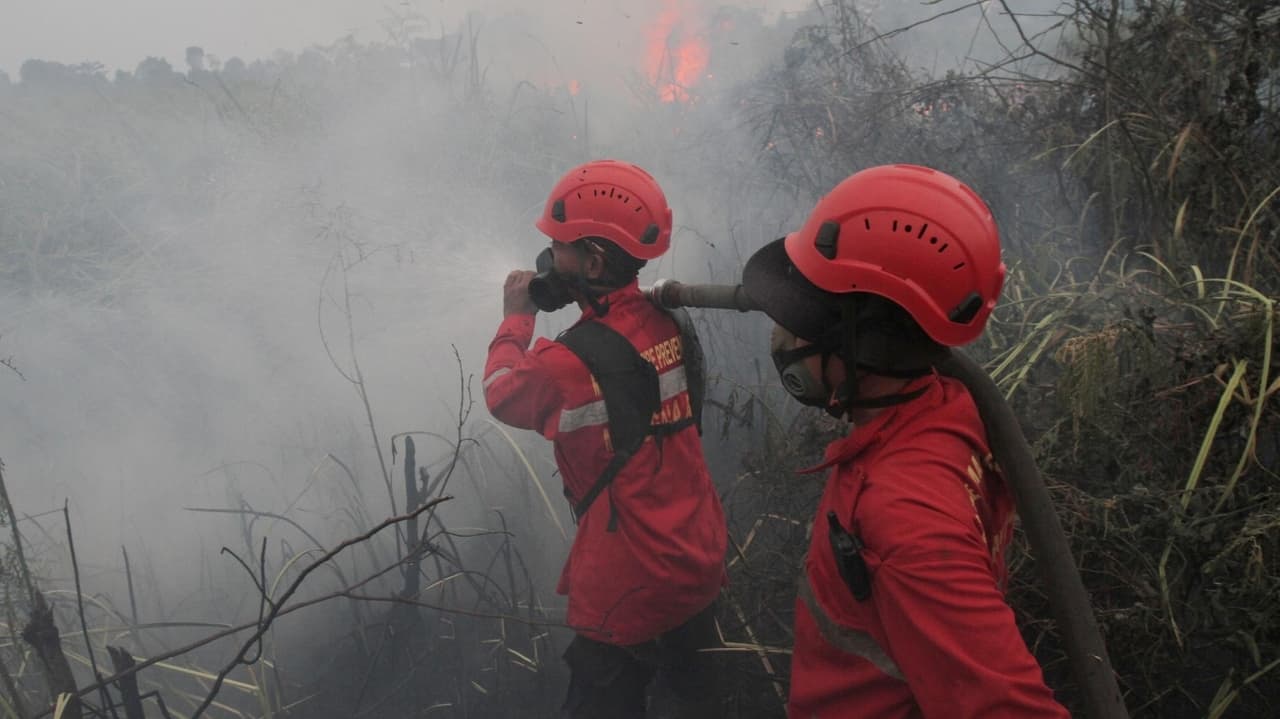 Muslims Perform Rain Prayers in South Sumatra